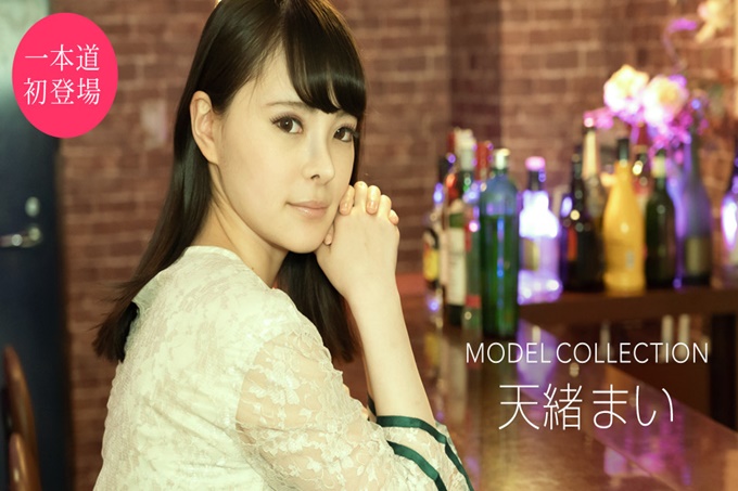 模型集合 Teno Mai