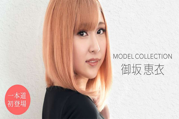 Model Collection 御坂圭