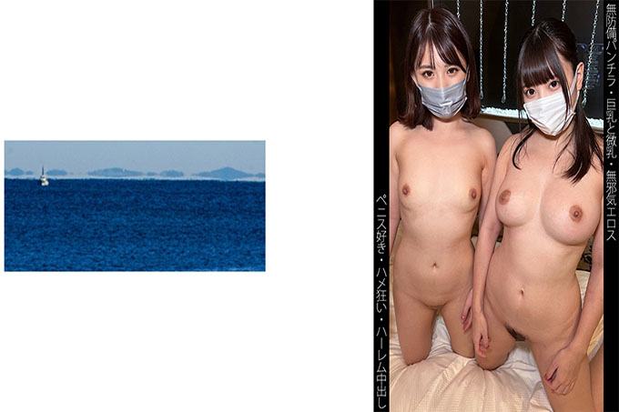S161-酱 & H161-酱