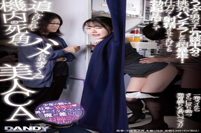 DANDY-968 当我开玩笑地用内裤挑逗一个无辜的男孩时，他疯了！